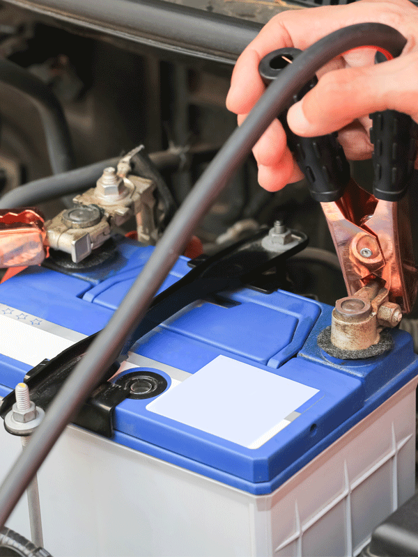 AGM Maintenance Free Batteries